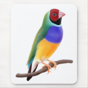 Gouldian Fink Mousepad