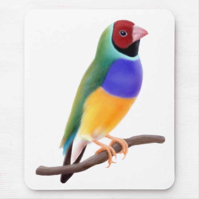 Gouldian Fink Mousepad (Vorne)