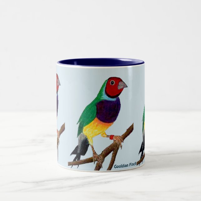 ~ Gouldian Fink ~ ursprüngliches Kunst ~ Zweifarbige Tasse (Mittel)