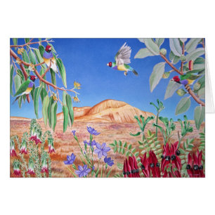 Gouldian Finke, Hinterland, Australien