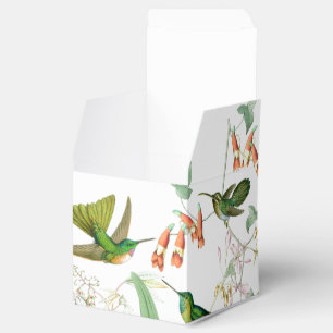 Goulds Kolibri-Bevorzugungs-Kasten Geschenkschachtel