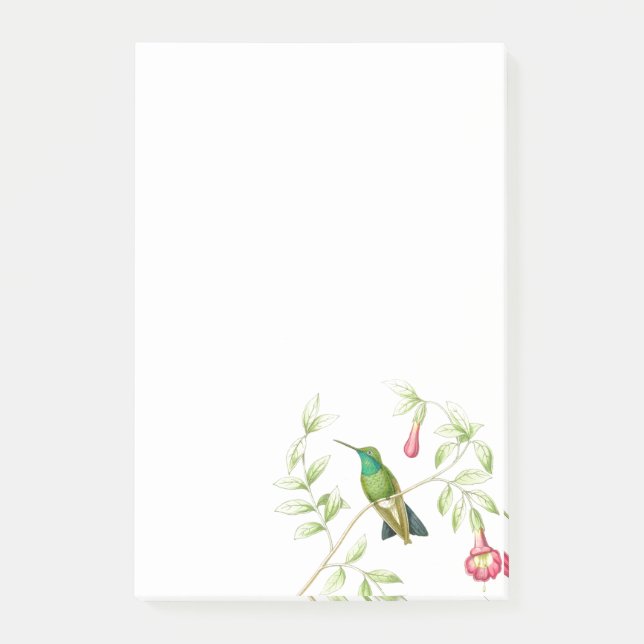 Goulds Kolibri-Post-Itanmerkungen Post-it Klebezettel (Vorderseite)