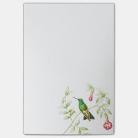 Goulds Kolibri-Post-Itanmerkungen