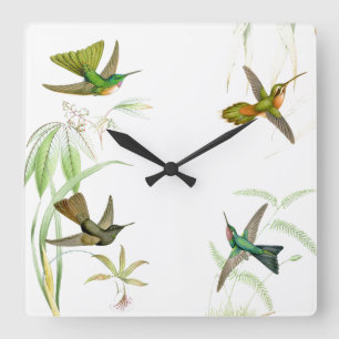 Goulds Kolibris Wanduhr
