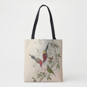 Goulpourah Sun-Bird von John Gould