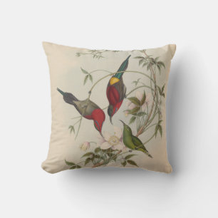 Goulpourah Sun-Bird von John Gould Kissen