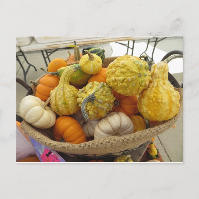 Gourd Basket Postkarte (Vorderseite)