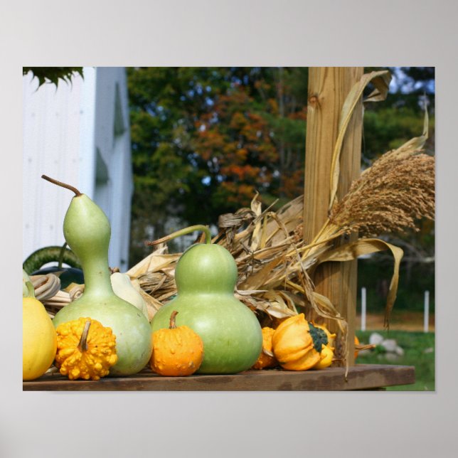 Gourds Maisstalks Stand Herbst Poster (Vorne)