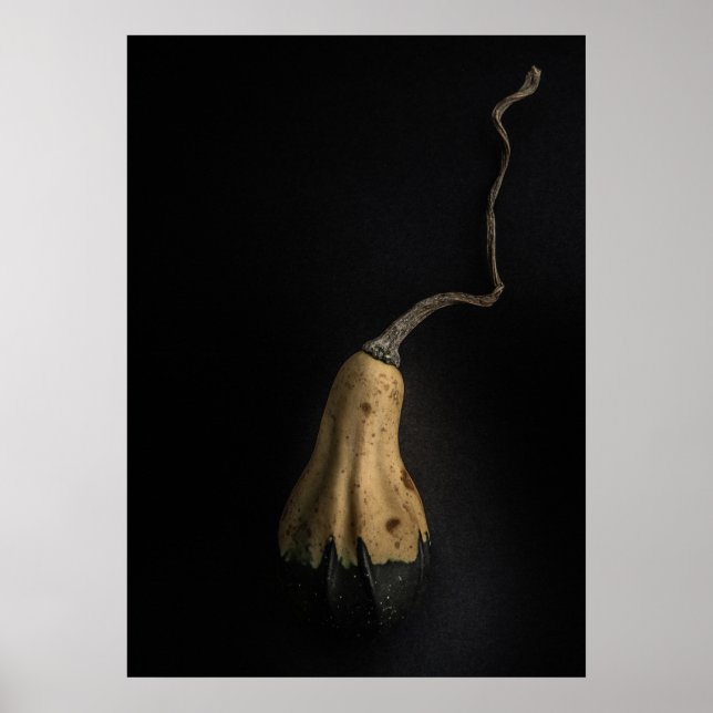 Gourds No 12 Color Version Poster (Vorne)