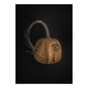 Gourds No 13 Color Version Fotodruck