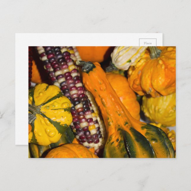 Gourds und Corn Fall Food Fotografie Postkarte