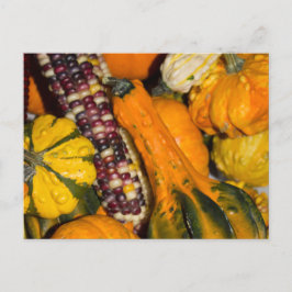 Gourds und Corn Fall Food Fotografie Postkarte