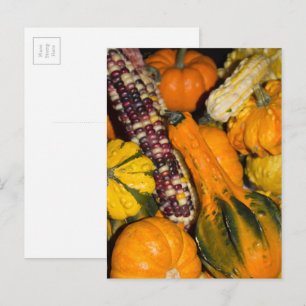 Gourds und Corn Fall Food Fotografie Postkarte