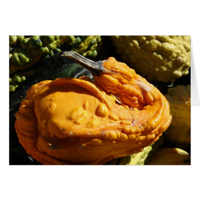 Gourmet, der wie eine Ente aussieht (Vorderseite (Horizontal))