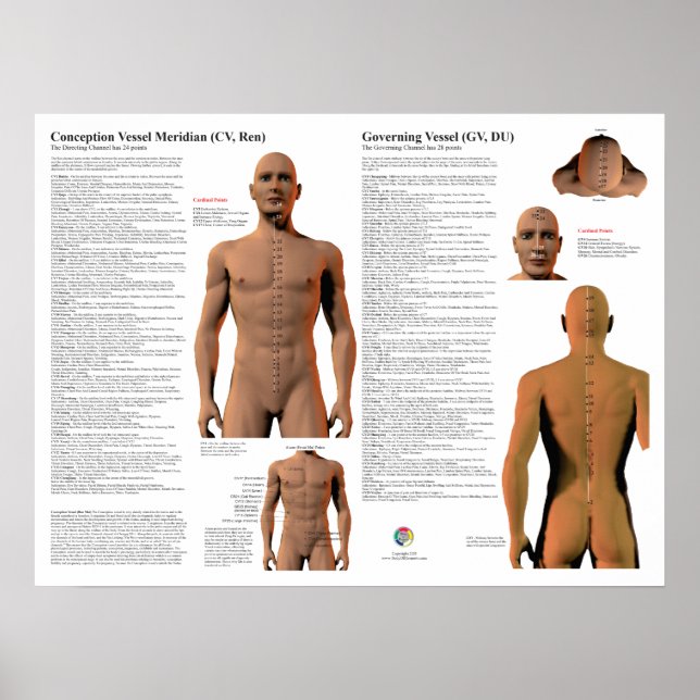Governing Meridian Acupuncture Points Poster (Vorne)