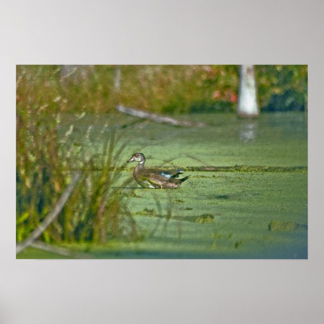 gp0003 poster (Vorne)