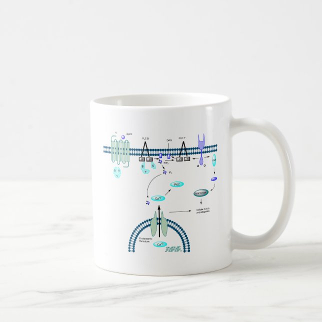 GPCR Bahn Kaffeetasse (Rechts)