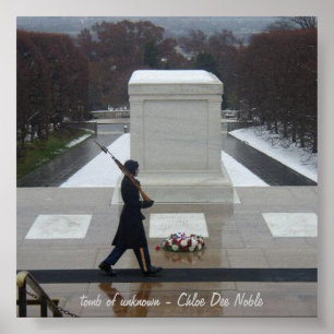 Grab des Unbekannten - Arlington Poster