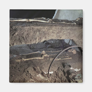 Grab eines Gaulish Leiters Magnet