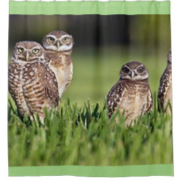 Graben der Eulen Duschvorhang