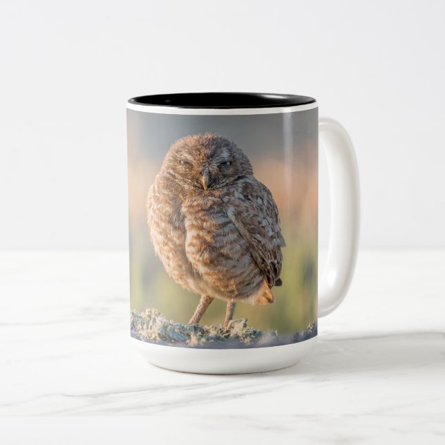 Graben der Eulen-großen Tasse (VorderseiteRechts)