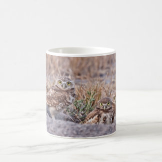 Graben der Eulen Tasse