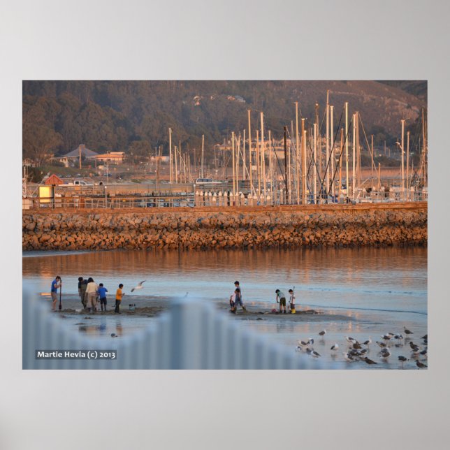 Graben für Clams Poster (Vorne)