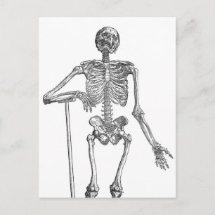 Grabende Skeleton-Illustration Postkarte