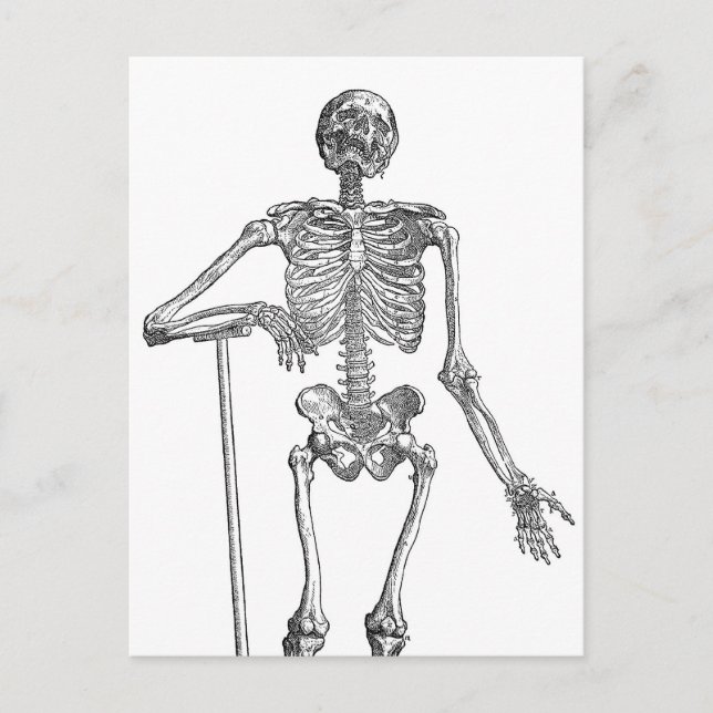 Grabende Skeleton-Illustration Postkarte (Vorderseite)