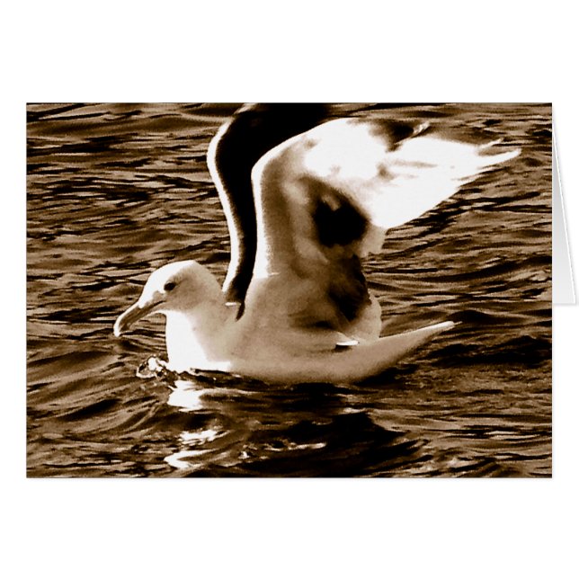 Grace_ (Vorderseite (Horizontal))