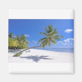 Grace Bay, Turks & Caicos Sand & Blue Ocean Waves Magnet