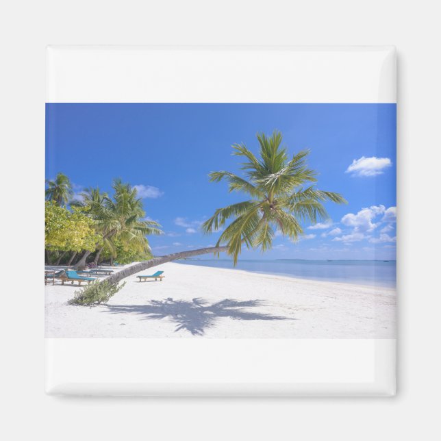 Grace Bay, Turks & Caicos Sand & Blue Ocean Waves Magnet (Vorne)