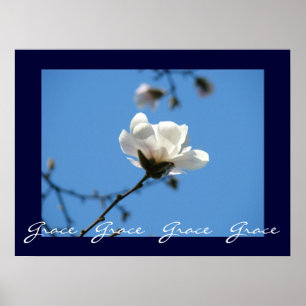 Grace Grace Grace Kunstdrucke Blue Sky Magnolia Poster