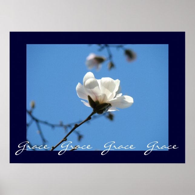 Grace Grace Grace Kunstdrucke Blue Sky Magnolia Poster (Vorne)