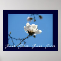 Grace Grace Grace Kunstdrucke Blue Sky Magnolie