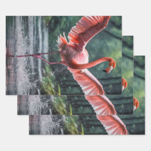 Grace in Flight: Der rosa Flamingos Riverdance Geschenkpapier Set