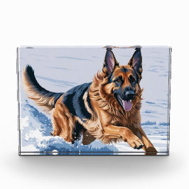 Grace in Motion: Elsass am Wasser Fotoblock