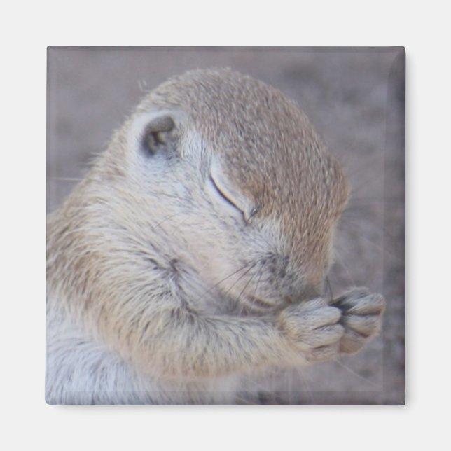 Grace Magnet (Vorne)