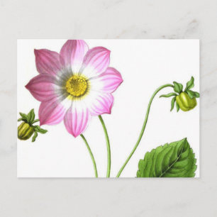 Grace Postkarte
