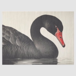 Graceful Black Swan in Ornithology Decoupage Style Seidenpapier