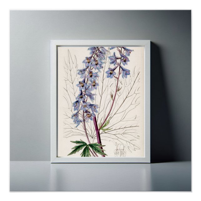 Graceful Delphinium Artwork Wohngestaltung Poster (Vorderseite)