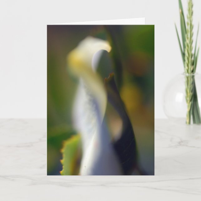 Graceful florale Blankenkarte Dankeskarte (Vorderseite)