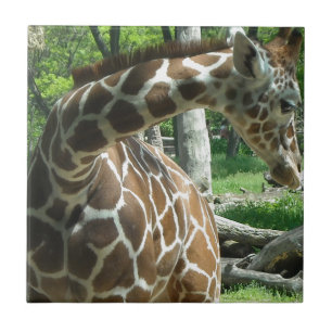 Graceful Giraffe Fliese