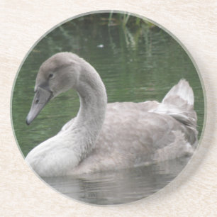 Graceful Schwan auf den Untersetzer