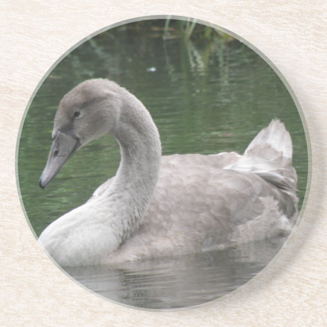 Graceful Schwan auf den Untersetzer (Vorne)