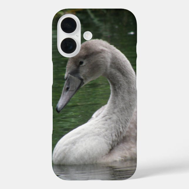 Graceful Swan auf dem Wasser iPhone Fall Case-Mate iPhone Hülle (Rückseite)