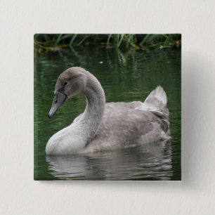 Graceful Swan on Water Button