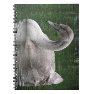 Graceful Swan on Water Notebook Notizblock
