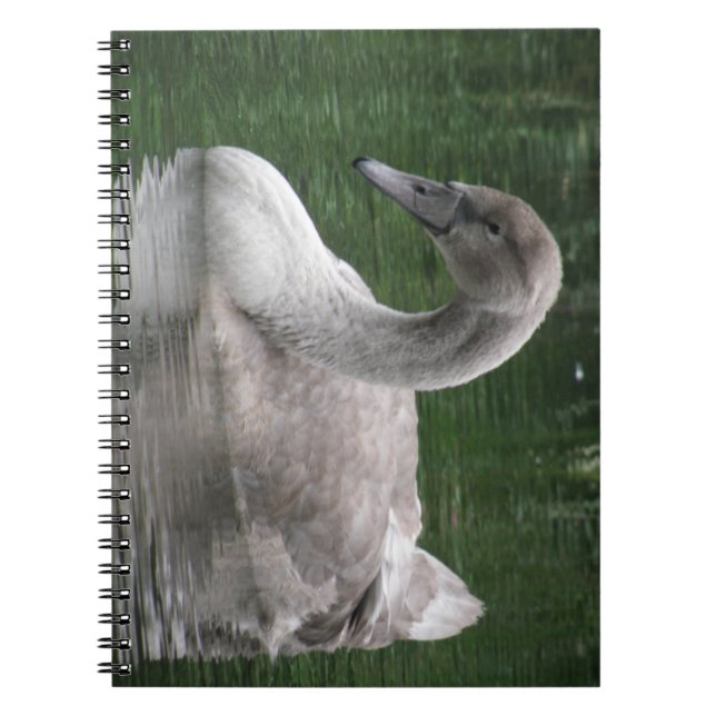 Graceful Swan on Water Notebook Notizblock (Vorderseite)