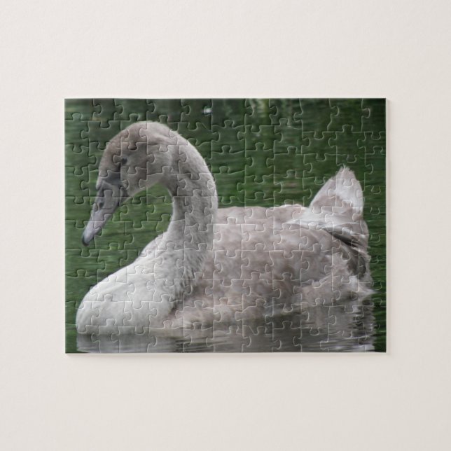 Graceful Swan on Water Puzzle (Horizontal)